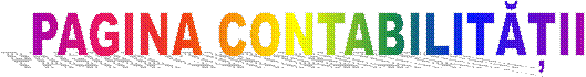 PAGINA CONTABILIT�ȚII