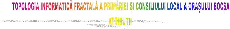 TOPOLOGIA INFORMATICĂ FRACTALĂ A PRIMĂRIEI ȘI CONSILIULUI LOCAL A ORAȘULUI BOCȘA
ATRIBUȚII 