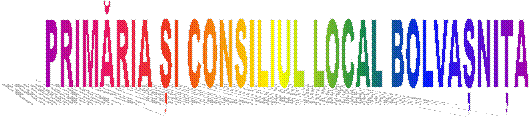 PRIMĂRIA ȘI CONSILIUL LOCAL BOLVAȘNIȚA