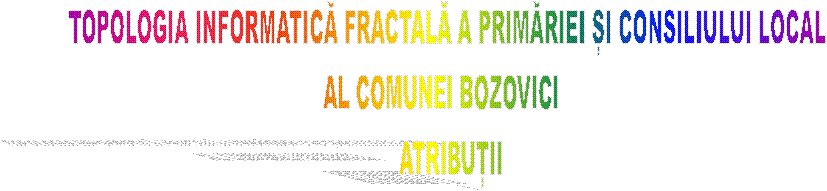TOPOLOGIA INFORMATICĂ FRACTALĂ A PRIMĂRIEI ȘI CONSILIULUI LOCAL 
AL COMUNEI BOZOVICI   
ATRIBUȚII