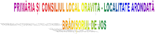 PRIMĂRIA ȘI CONSILIUL LOCAL ORAVIȚA - LOCALITATE ARONDATĂ
BRĂDIȘORUL DE JOS
