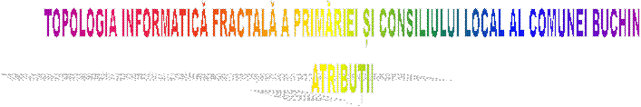 TOPOLOGIA INFORMATICĂ FRACTALĂ A PRIMĂRIEI ȘI CONSILIULUI LOCAL AL COMUNEI BUCHIN
ATRIBUȚII