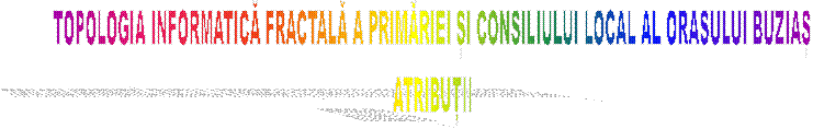 TOPOLOGIA INFORMATICĂ FRACTALĂ A PRIMĂRIEI ȘI CONSILIULUI LOCAL AL ORASULUI BUZIAȘ
ATRIBUȚII
