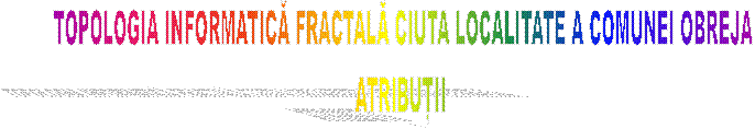 TOPOLOGIA INFORMATICĂ FRACTALĂ CIUTA LOCALITATE A COMUNEI OBREJA
ATRIBUȚII 
