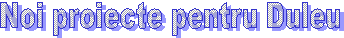 Noi proiecte pentru Duleu