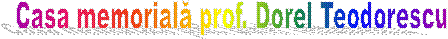 Casa memorială prof. Dorel Teodorescu