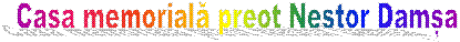Casa memorială preot Nestor Damșa