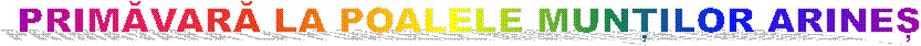 PRIMĂVARĂ LA POALELE MUNȚILOR ARINEȘ