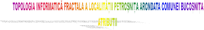 TOPOLOGIA INFORMATICĂ FRACTALA A LOCALITĂȚII PETROȘNIȚA ARONDATA COMUNEI BUCOȘNIȚA
ATRIBUȚII 
