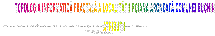 TOPOLOGIA INFORMATICĂ FRACTALĂ A LOCALITĂȚII POIANA ARONDATĂ COMUNEI BUCHIN
ATRIBUȚII 
