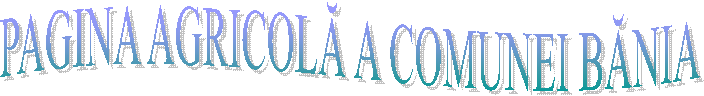 PAGINA AGRICOLĂ A COMUNEI BĂNIA