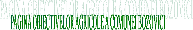 PAGINA OBIECTIVELOR AGRICOLE A COMUNEI BOZOVICI