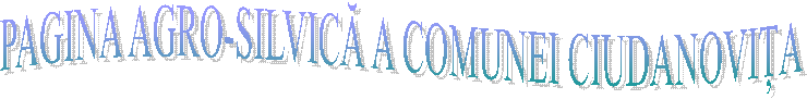 PAGINA AGRO-SILVICĂ A COMUNEI CIUDANOVIȚA