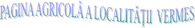 PAGINA AGRICOLĂ A LOCALITĂŢII  VERMES