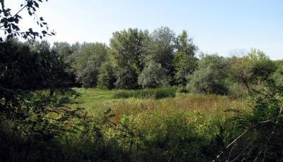 Imagini pentru educatie pe valea pogoniciului"