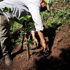 Imagini pentru educatie pe valea pogoniciului"