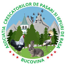 Imagini pentru educatie pe valea pogoniciului"