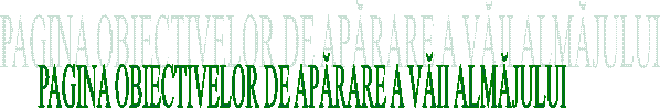 PAGINA OBIECTIVELOR DE APĂRARE A VĂII ALMĂJULUI