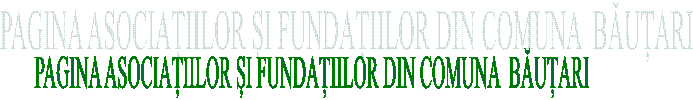 PAGINA ASOCIAȚIILOR ȘI FUNDAȚIILOR DIN COMUNA  BĂUȚARI