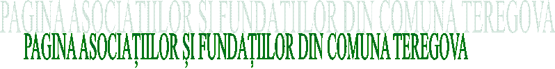 PAGINA ASOCIAȚIILOR ȘI FUNDAȚIILOR DIN COMUNA TEREGOVA