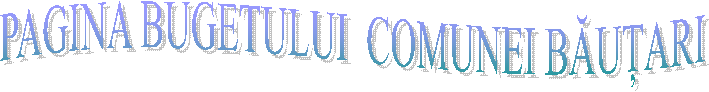 PAGINA BUGETULUI  COMUNEI BĂUȚARI