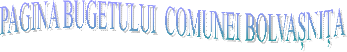 PAGINA BUGETULUI  COMUNEI BOLVAȘNIȚA