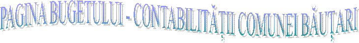 PAGINA BUGETULUI - CONTABILITĂȚII COMUNEI BĂUȚARI
