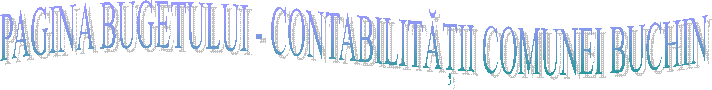 PAGINA BUGETULUI - CONTABILITĂȚII COMUNEI BUCHIN
