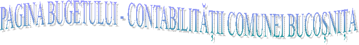 PAGINA BUGETULUI - CONTABILITĂȚII COMUNEI BUCOȘNIȚA