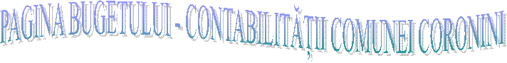 PAGINA BUGETULUI - CONTABILITĂȚII COMUNEI CORONINI