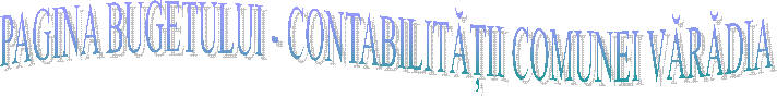 PAGINA BUGETULUI - CONTABILITĂȚII COMUNEI VĂRĂDIA