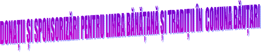 DONAȚII ȘI SPONSORIZĂRI PENTRU LIMBA BĂNĂȚANĂ ȘI TRADIȚII &Icirc;N  COMUNA BĂUȚARI