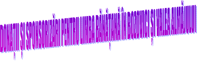 DONAȚII ȘI SPONSORIZĂRI PENTRU LIMBA BĂNĂȚANĂ &Icirc;N BOZOVICI ȘI VALEA ALMĂJULUI