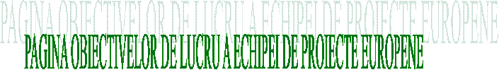 PAGINA OBIECTIVELOR DE LUCRU A ECHIPEI DE PROIECTE EUROPENE