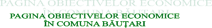 PAGINA OBIECTIVELOR ECONOMICE
&Icirc;N COMUNA BĂUȚARI