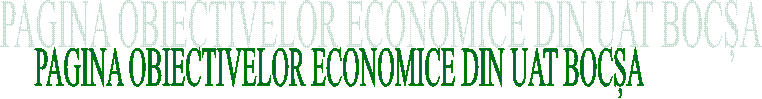 PAGINA OBIECTIVELOR ECONOMICE DIN UAT BOCȘA