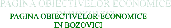 PAGINA OBIECTIVELOR ECONOMICE
IN BOZOVICI