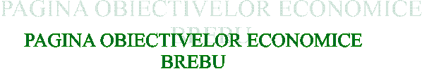 PAGINA OBIECTIVELOR ECONOMICE
BREBU