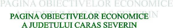 PAGINA OBIECTIVELOR ECONOMICE
A JUDETULUI CARAS SEVERIN
