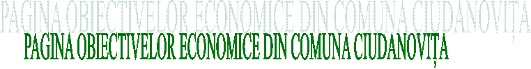 PAGINA OBIECTIVELOR ECONOMICE DIN COMUNA CIUDANOVIȚA