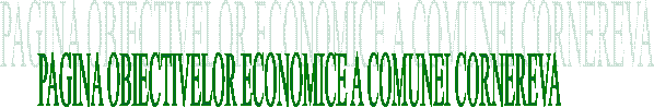 PAGINA OBIECTIVELOR ECONOMICE A COMUNEI CORNEREVA
