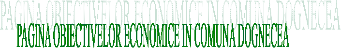 PAGINA OBIECTIVELOR ECONOMICE IN COMUNA DOGNECEA