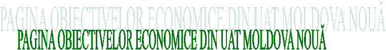 PAGINA OBIECTIVELOR ECONOMICE DIN UAT MOLDOVA NOUĂ