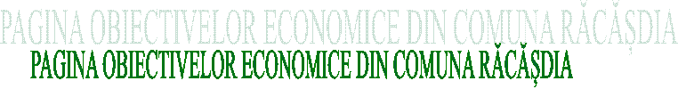 PAGINA OBIECTIVELOR ECONOMICE DIN COMUNA RĂCĂȘDIA