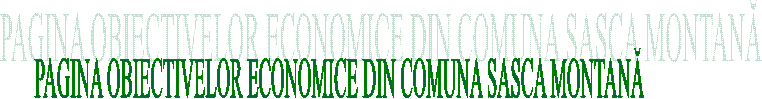 PAGINA OBIECTIVELOR ECONOMICE DIN COMUNA SASCA MONTANĂ