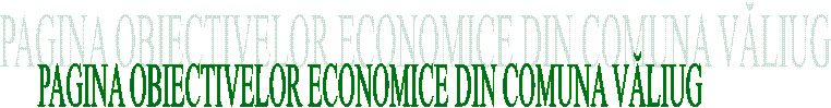 PAGINA OBIECTIVELOR ECONOMICE DIN COMUNA VĂLIUG