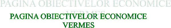 PAGINA OBIECTIVELOR ECONOMICE
VERMES