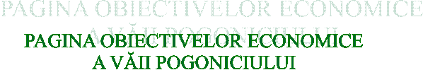 PAGINA OBIECTIVELOR ECONOMICE
A VĂII POGONICIULUI