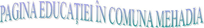 PAGINA EDUCAŢIEI &Icirc;N COMUNA MEHADIA