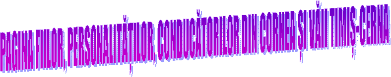 PAGINA FIILOR, PERSONALITĂȚILOR, CONDUCĂTORILOR DIN CORNEA ȘI VĂII TIMIȘ-CERNA